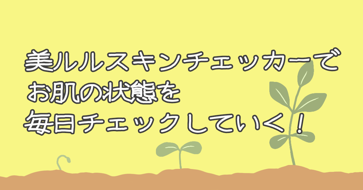 スキンケアに１品追加 おすすめアイテム【美ルルスキンチェッカー】 | がーすけブログ